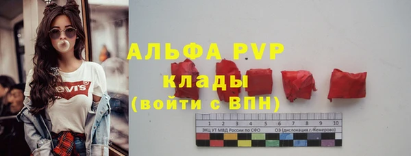 стафф Алексин