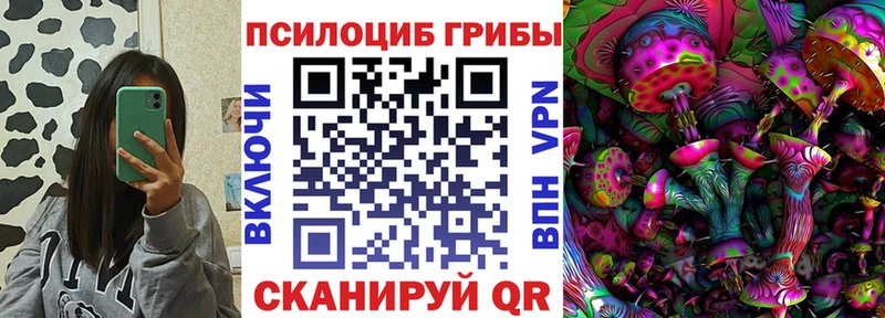 МЕГА tor  Хотьково  маркетплейс телеграм  Псилоцибиновые грибы Psilocybine cubensis 